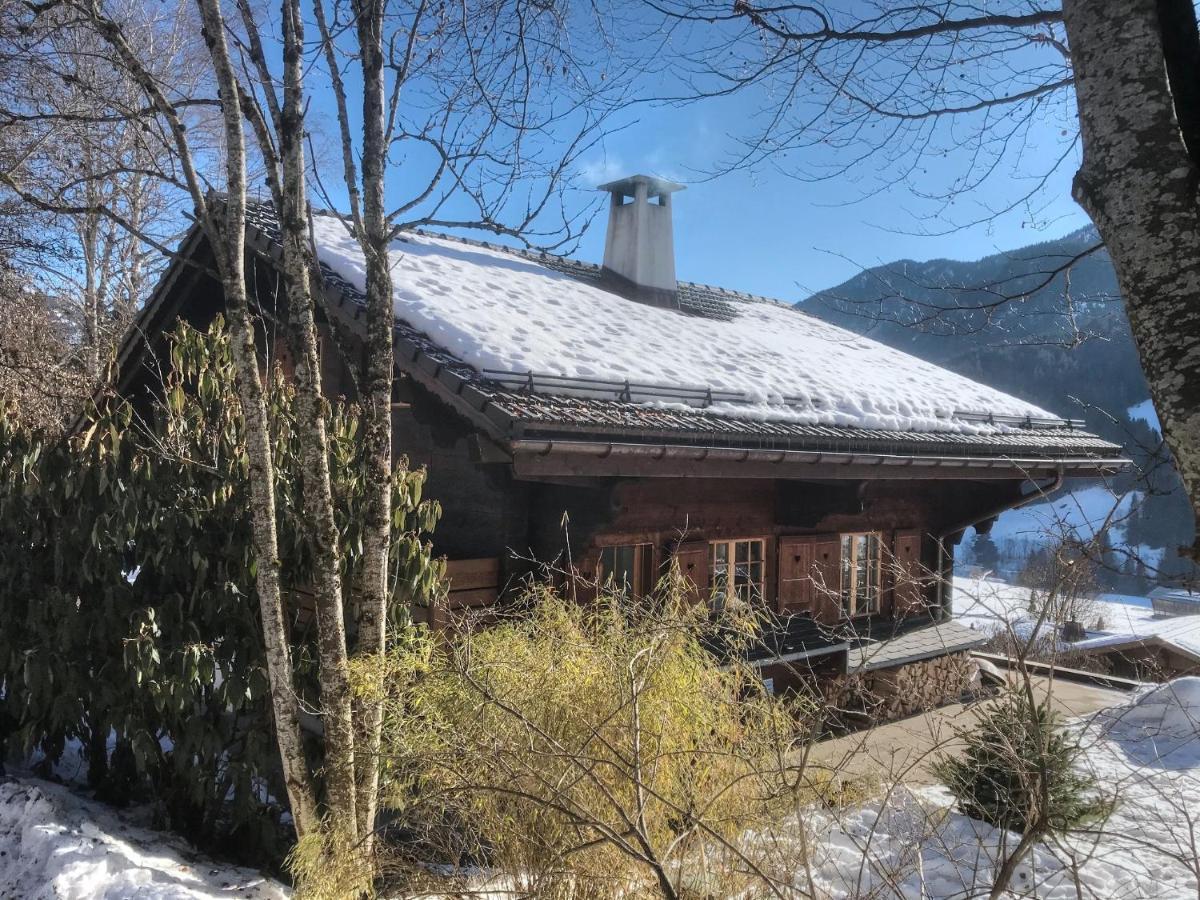 Les Jumelles Vila Gstaad Exterior foto